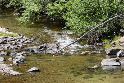 DSC_3601 (Large).JPG